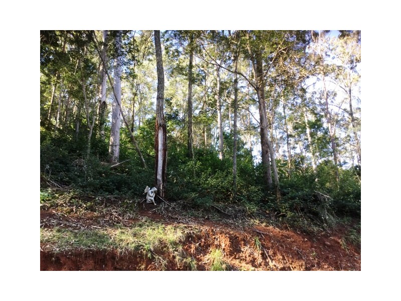 535 SIM JUE CREEK ROAD, Dundas QLD 4306