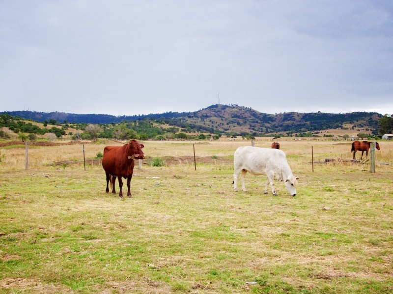 614 GLAMORGANVALE-LOWOOD ROAD, Glamorgan Vale QLD 4306