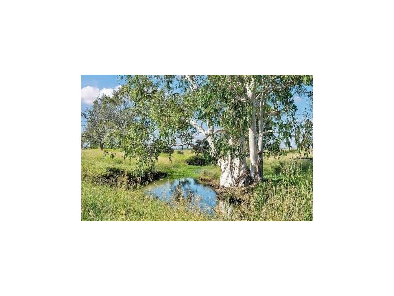 454 CLAUS ROAD, Glamorgan Vale QLD 4306