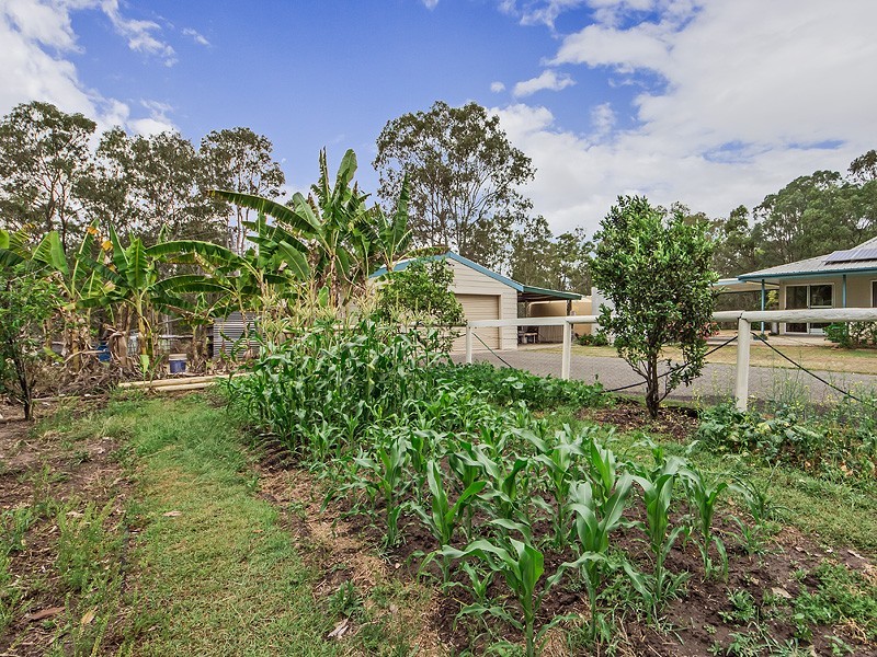 149 F HOLTS ROAD, Pine Mountain QLD 4306