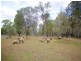 797 ATKINSON DAM ROAD, Atkinsons Dam QLD 4311