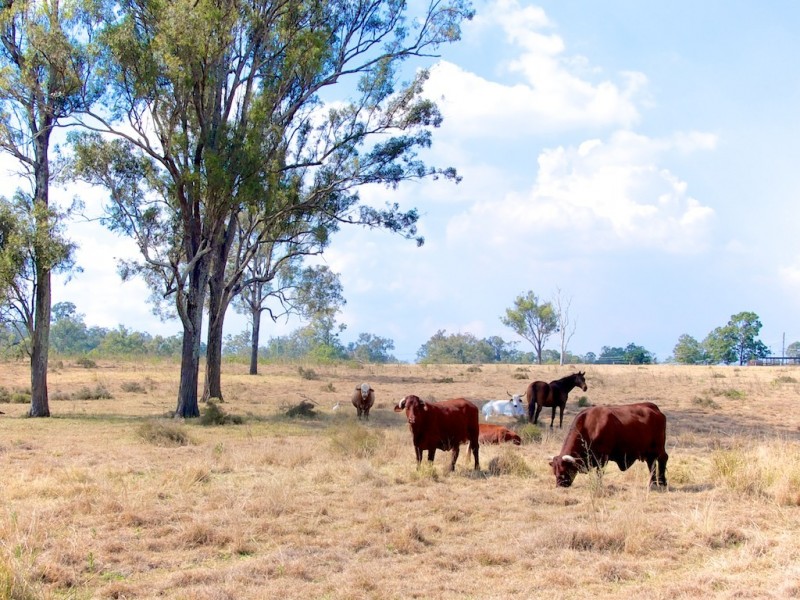45 MACADAMIA DRIVE, Lowood QLD 4311