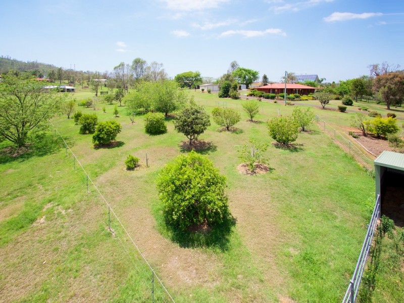 38 CARRALLUMA CRESCENT, Fernvale QLD 4306