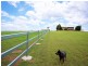 1599 BRIGHTVIEW ROAD, Rifle Range QLD 4311