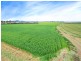 1599 BRIGHTVIEW ROAD, Rifle Range QLD 4311