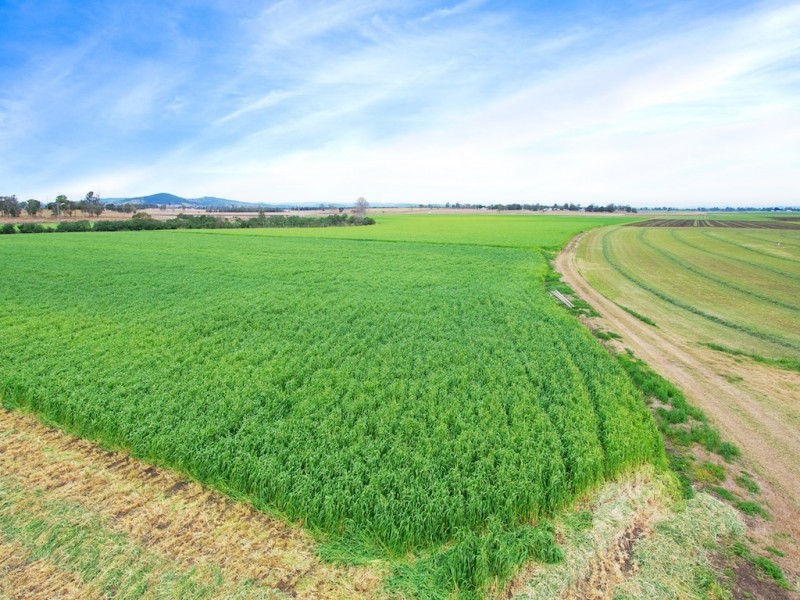 1599 BRIGHTVIEW ROAD, Rifle Range QLD 4311