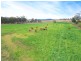 1599 BRIGHTVIEW ROAD, Rifle Range QLD 4311