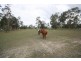 20 HASLINGDEN ROAD, Lockyer Waters QLD 4311