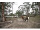 20 HASLINGDEN ROAD, Lockyer Waters QLD 4311