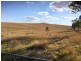 Lot 219 Hannah Lane, Haigslea QLD 4306