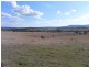 Lot 218 Hannah Lane, Haigslea QLD 4306