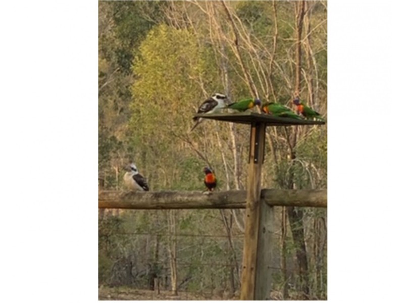 34 Bodley Rd, Karrabin QLD 4306