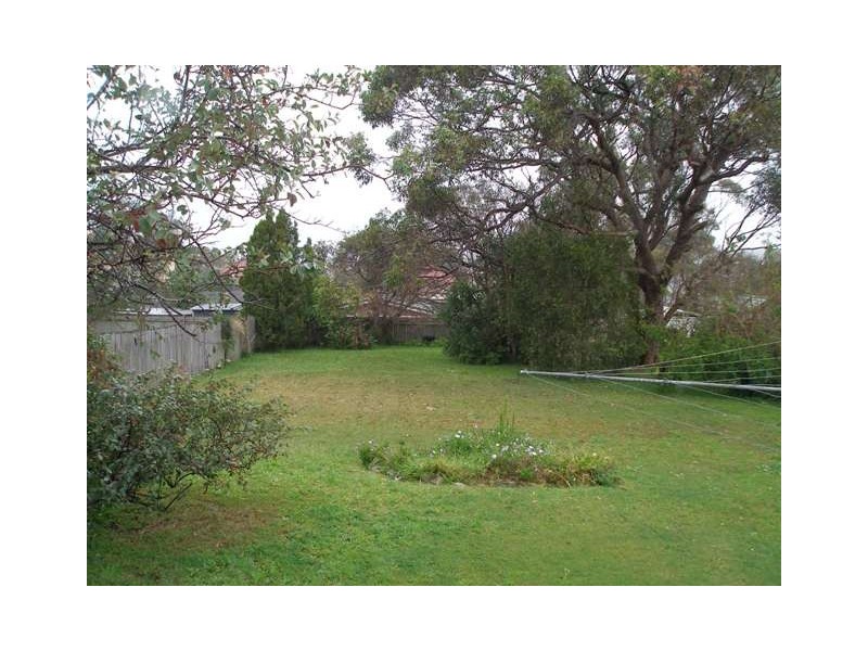 21 HALL AVENUE, Collaroy Plateau NSW 2097