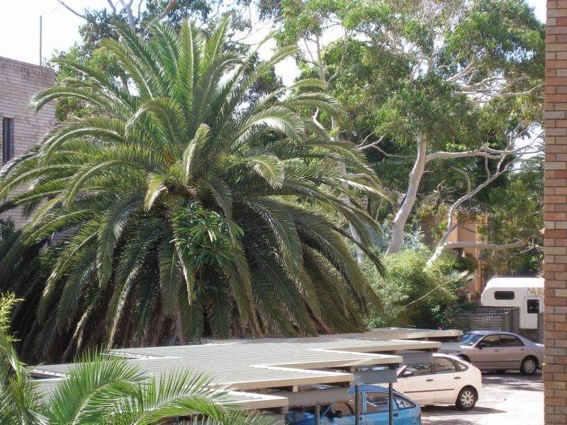 4/15 FIELDING STREET, Collaroy NSW 2097