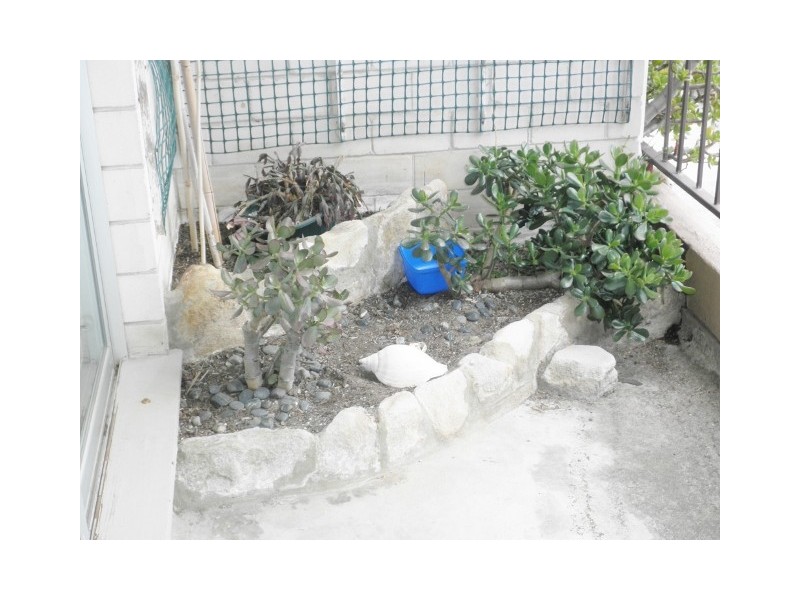 2/17 FRAZER STREET, Collaroy NSW 2097