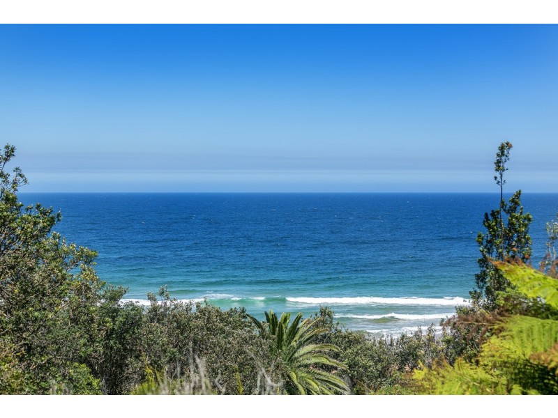 21A Karloo Parade, Newport NSW 2106