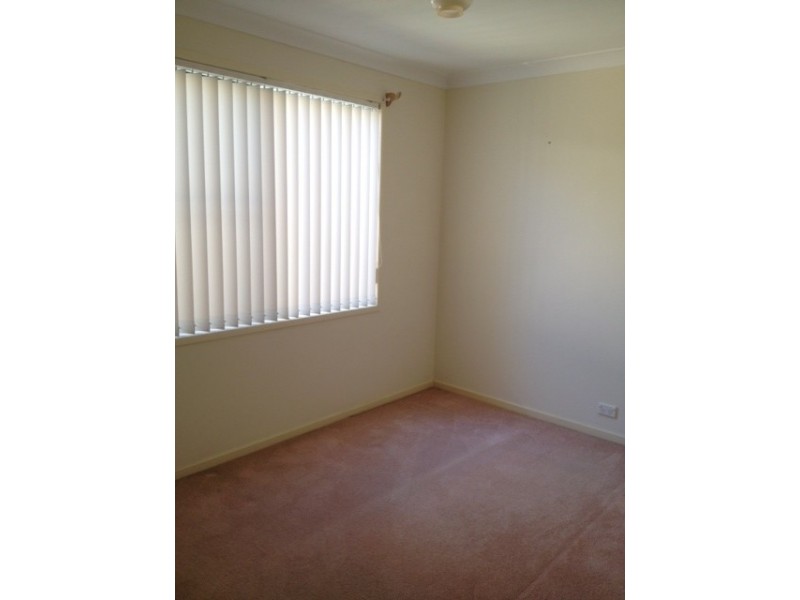 4 TOR ROAD, Dee Why NSW 2099