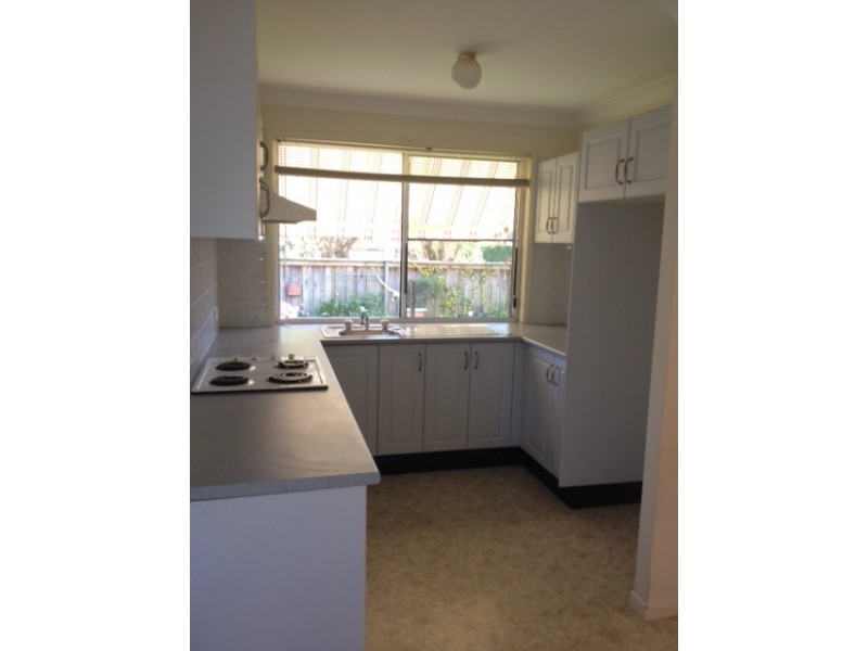 4 TOR ROAD, Dee Why NSW 2099