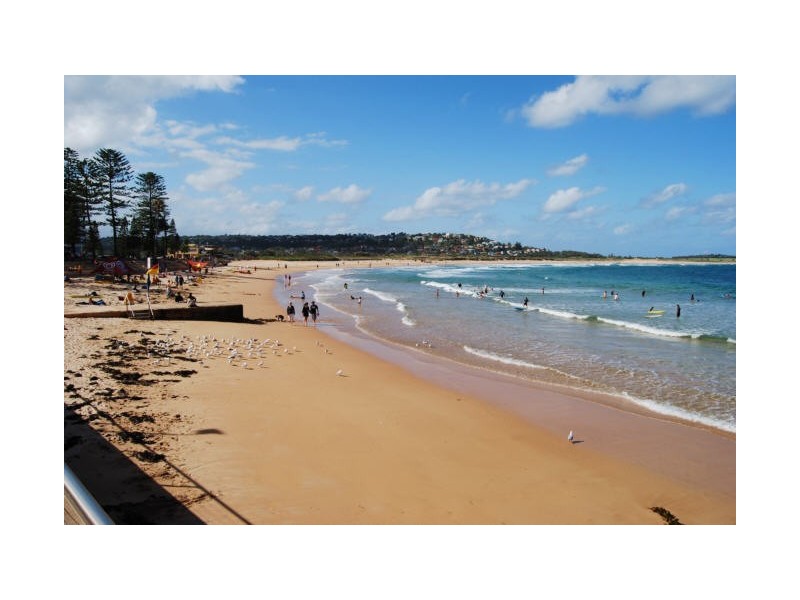 8/17-19 BORONIA STREET, Dee Why NSW 2099