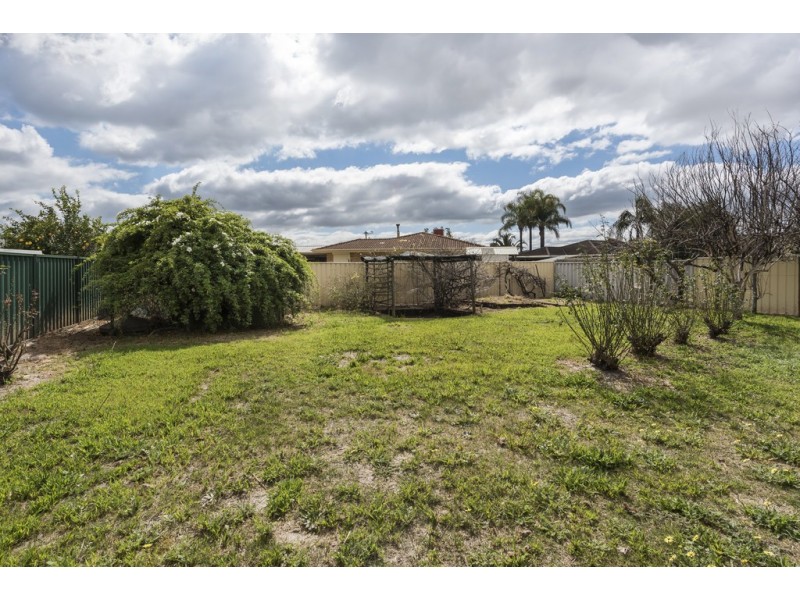 18 Amazon Drive, Beechboro WA 6063