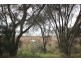 U31, 15 KARDAN LOOP, Falcon WA 6210