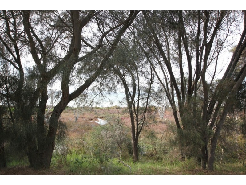U31, 15 KARDAN LOOP, Falcon WA 6210
