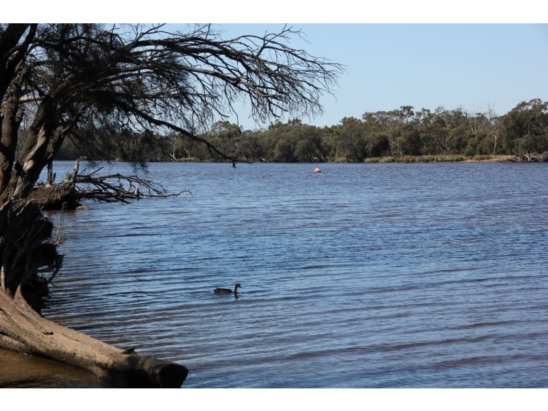 76A Katanning Street, Bayswater WA 6053