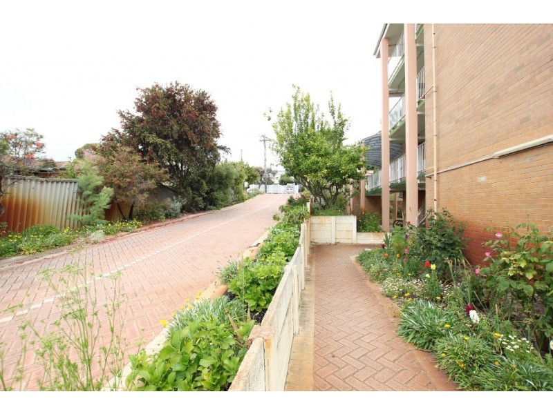 6/86 Caledonian Avenue, Maylands WA 6051