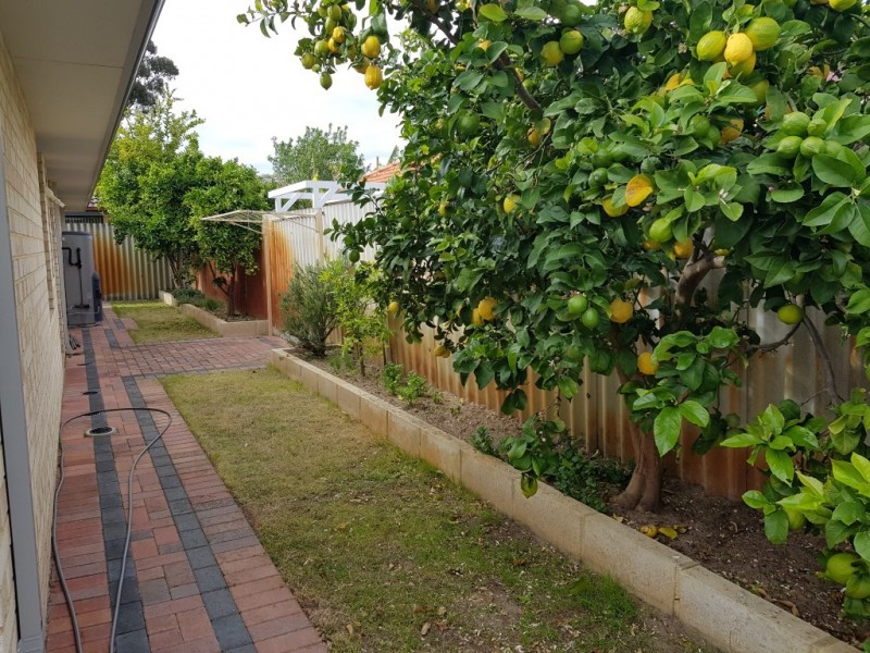 25A Grand Prom, Bayswater WA 6053