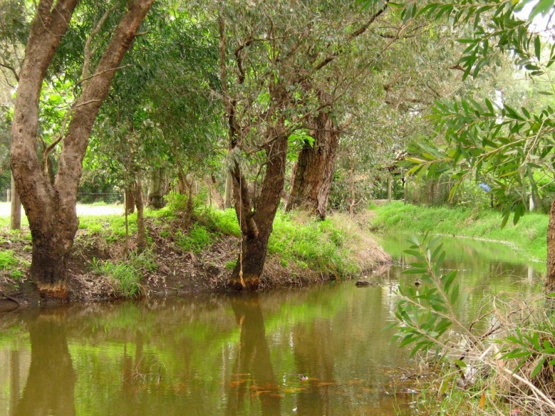 3 Chatham Road, Woodbridge WA 6056