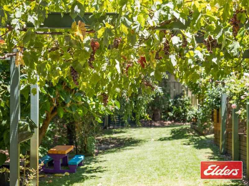 6 Best Street, Bassendean WA 6054