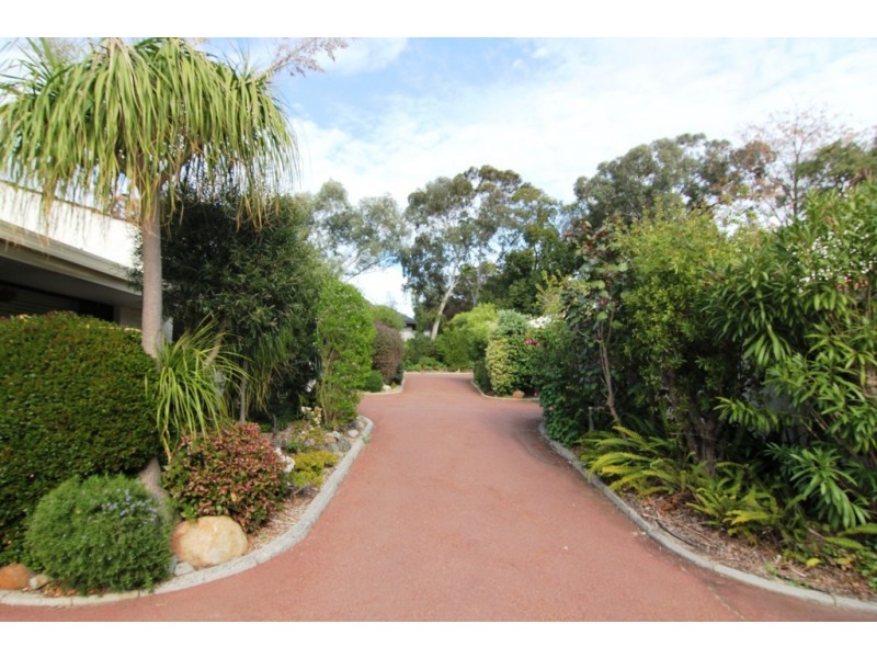 Unit 8/13 Second Avenue, Mount Lawley WA 6050