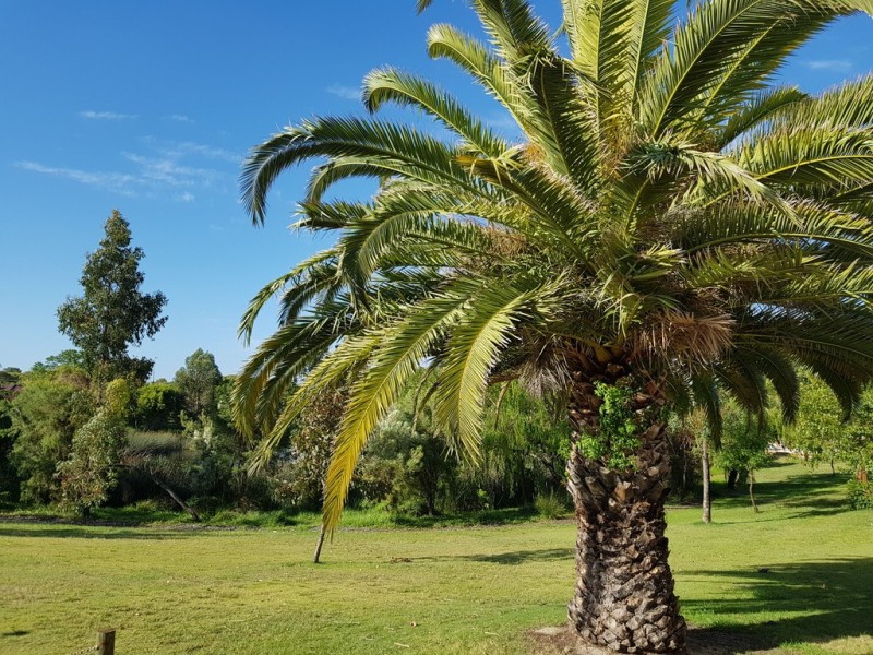 2/7 Toms Court, Bayswater WA 6053