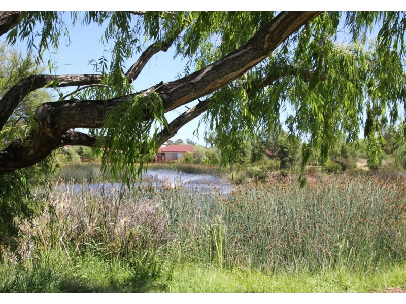 2/7 Toms Court, Bayswater WA 6053