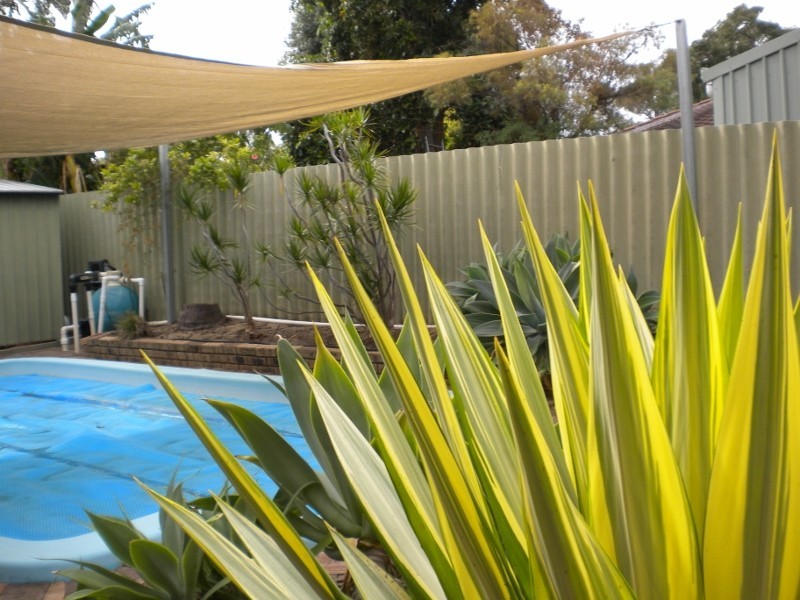 42 Wimbledon Drive, Kingsley WA 6026