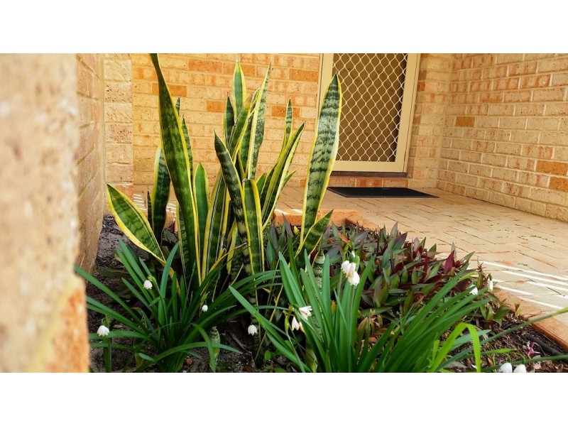 1/298 Albert Street, Balcatta WA 6021