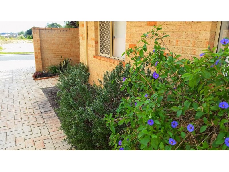 1/298 Albert Street, Balcatta WA 6021