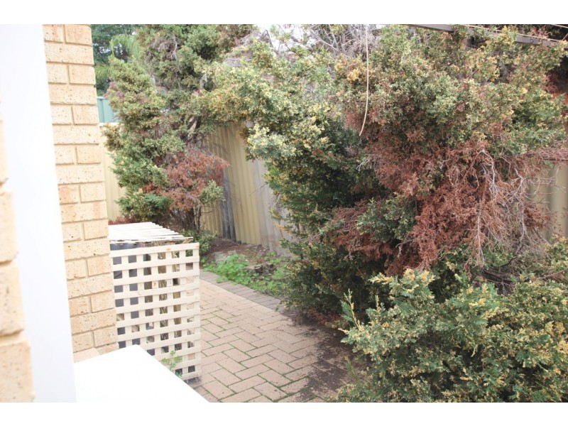 4/95 Federal Street, Tuart Hill WA 6060