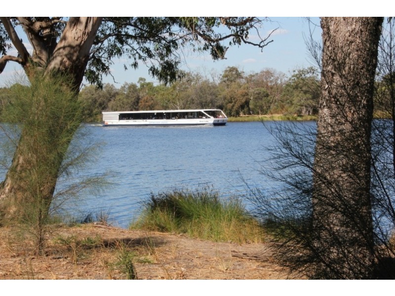 44A River Road, Bayswater WA 6053