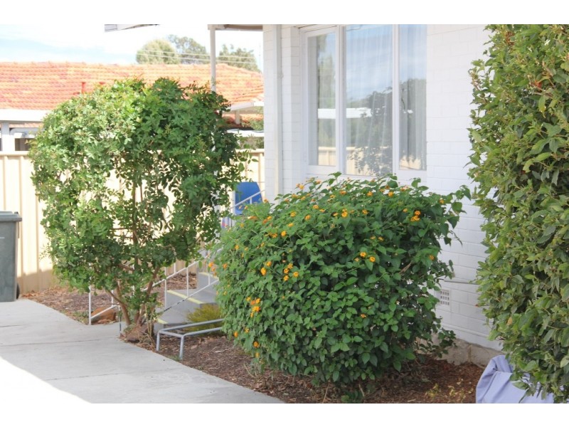 102 Casserley Ave, Girrawheen WA 6064