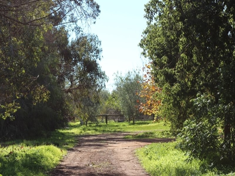 60 Forest Road, Henley Brook WA 6055