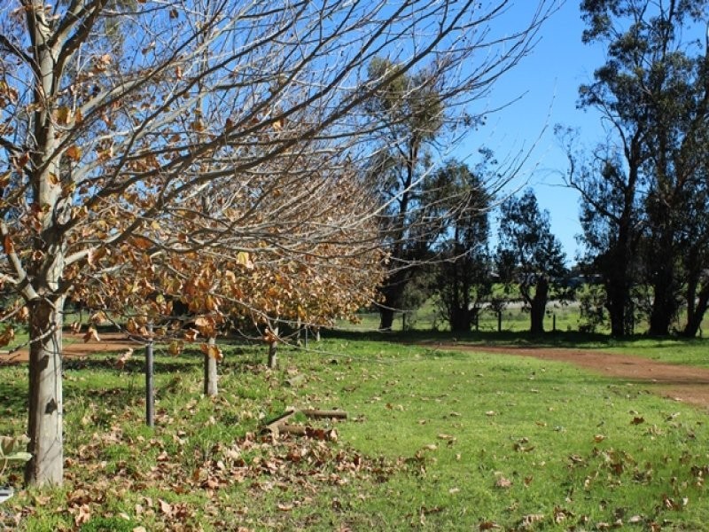 60 Forest Road, Henley Brook WA 6055