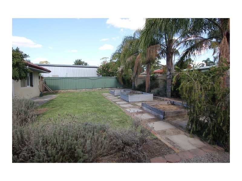 7 Clianthus Way, Koongamia WA 6056