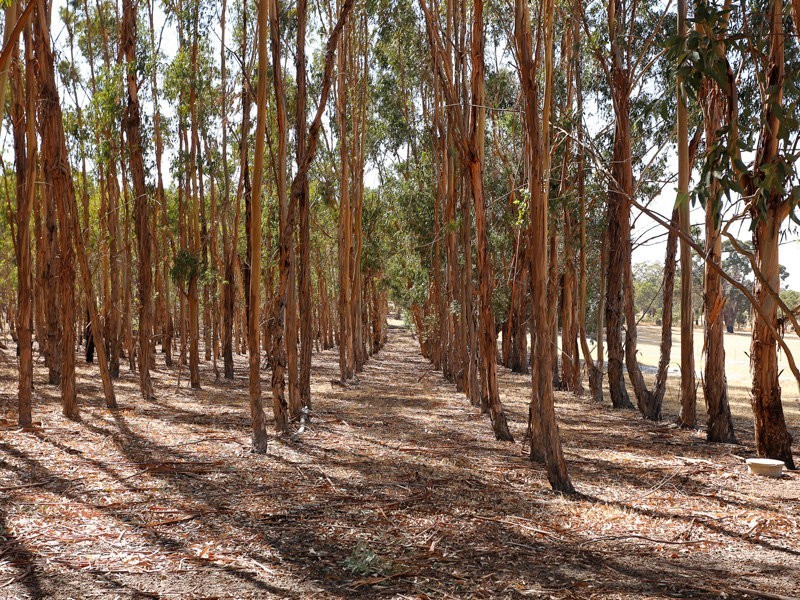 320 Hill Road, Bakers Hill WA 6562