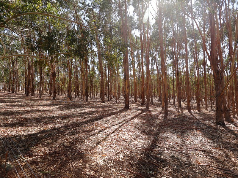 320 Hill Road, Bakers Hill WA 6562