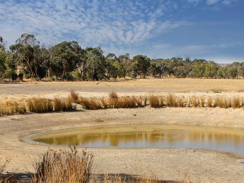 320 Hill Road, Bakers Hill WA 6562