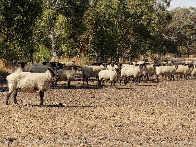 320 Hill Road, Bakers Hill WA 6562