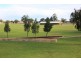 32 Quadea Way, Nollamara WA 6061