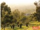 33 Weir Road, Baskerville WA 6056