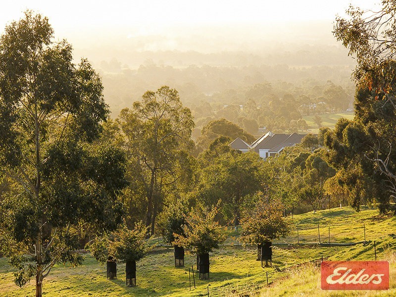 33 Weir Road, Baskerville WA 6056